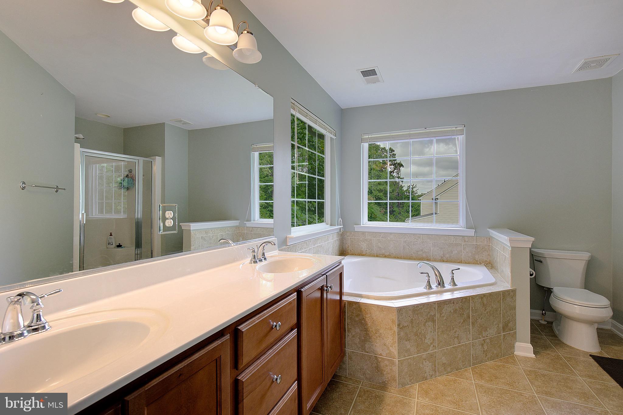 650 Stratton Place Prince Frederick, MD 20678 - Photo 29 of 51 a bathroom with a bathtub a sink and a large window