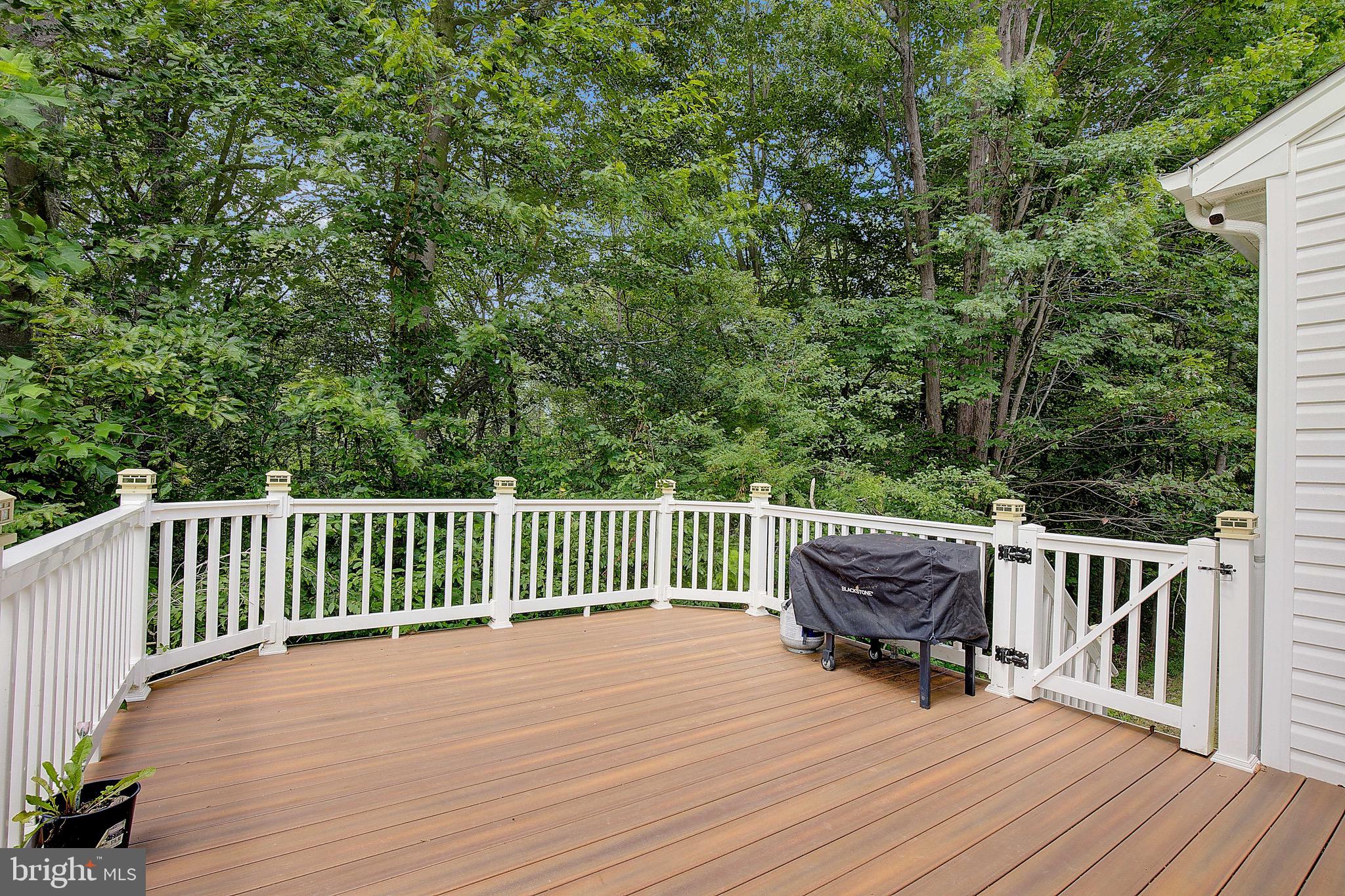 650 Stratton Place Prince Frederick, MD 20678 - Photo 3 of 51 a view of backyard with a deck and wooden floor