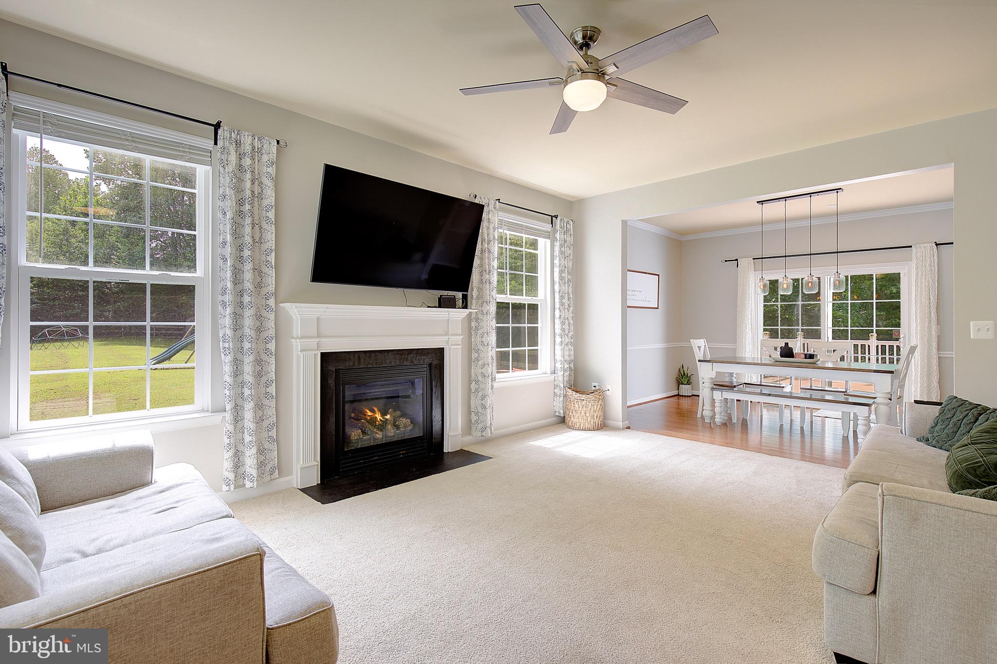 650 Stratton Place Prince Frederick, MD 20678 - Photo 6 of 51 a living room with furniture a flat screen tv and a fireplace