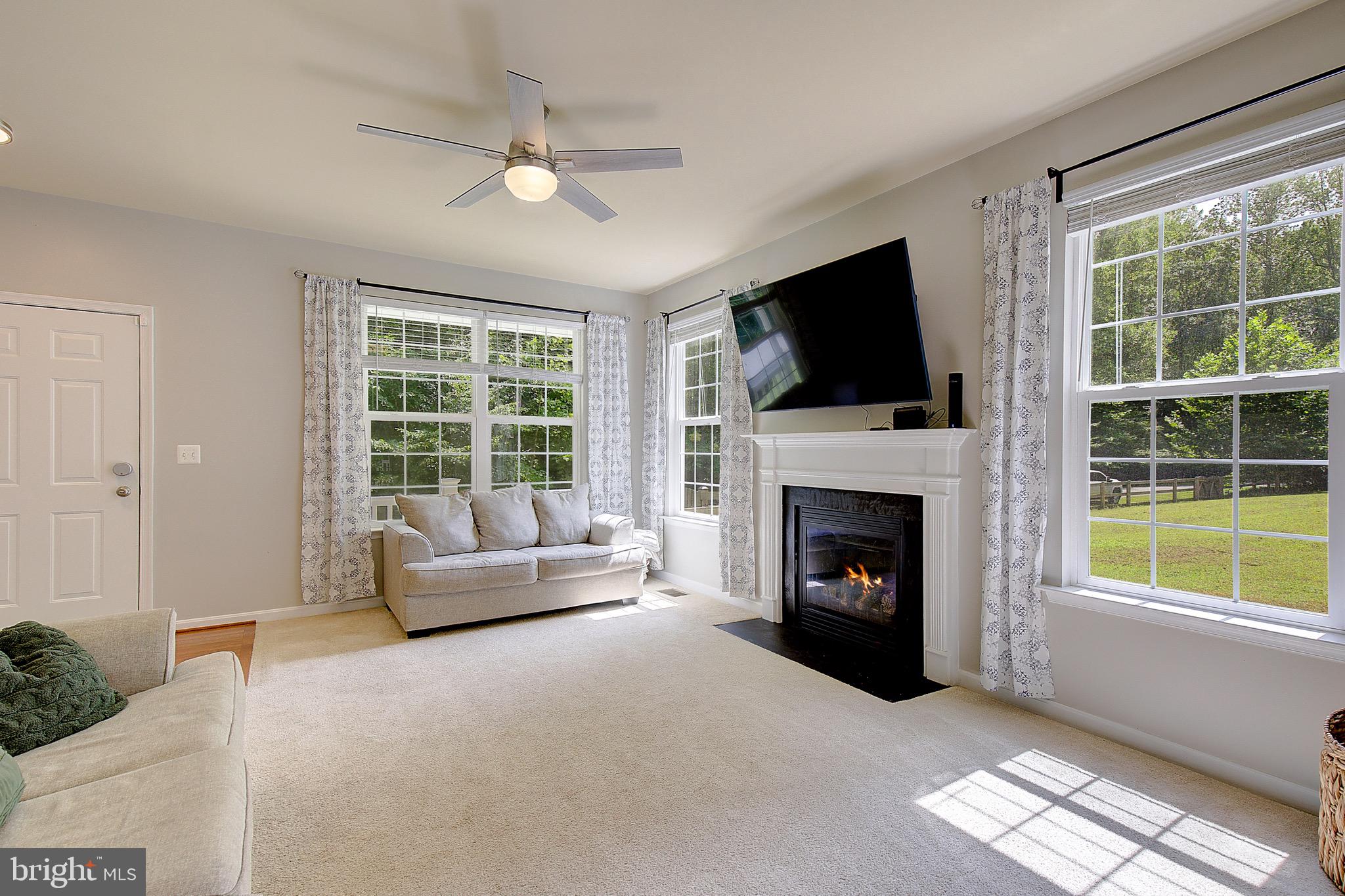 650 Stratton Place Prince Frederick, MD 20678 - Photo 8 of 51 a living room with furniture a flat screen tv and a fireplace