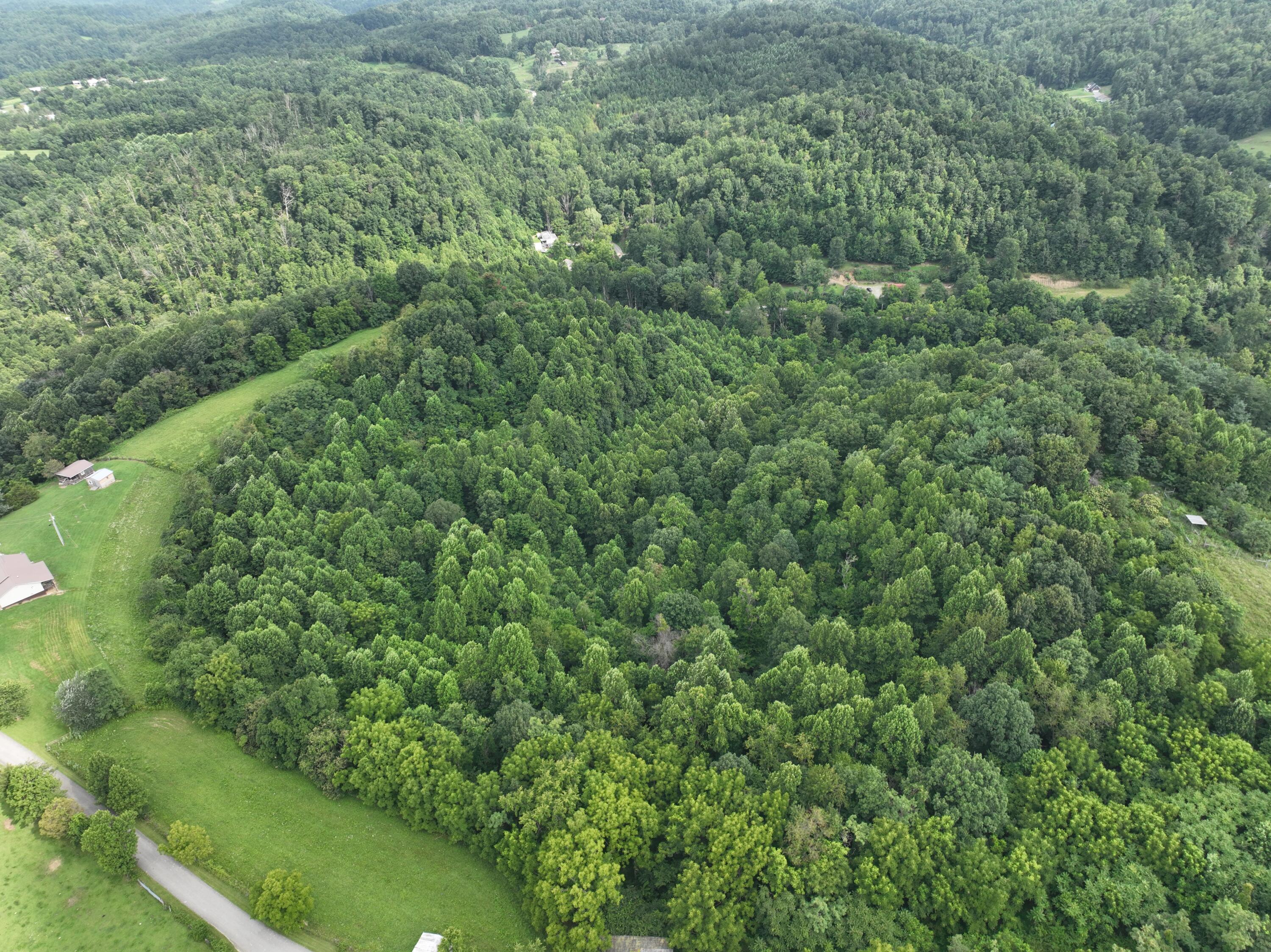 9998 Hurst School Road McKee, KY 40447 - Photo 4 of 15 DJI_0541