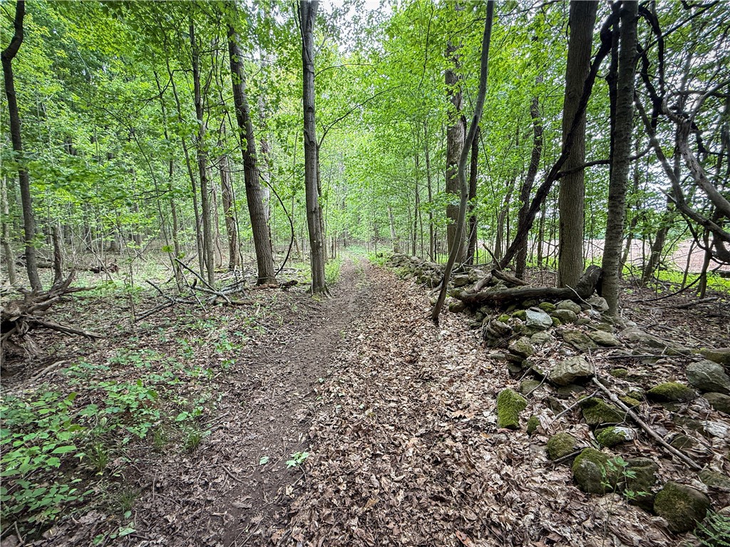 Gifford Road Hannibal, NY 13074 - Photo 40 of 50