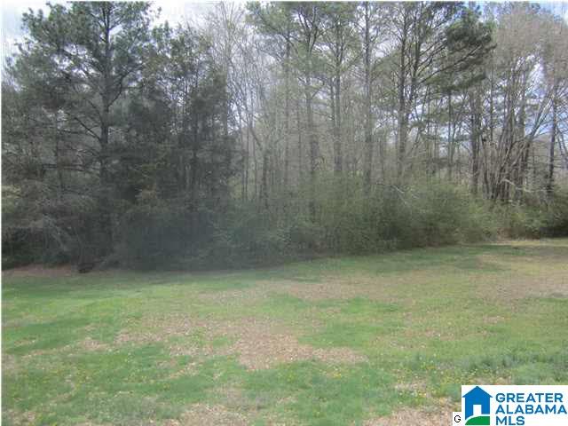 92 Scenic Trail Oneonta, AL 35121 - Photo 5 of 32