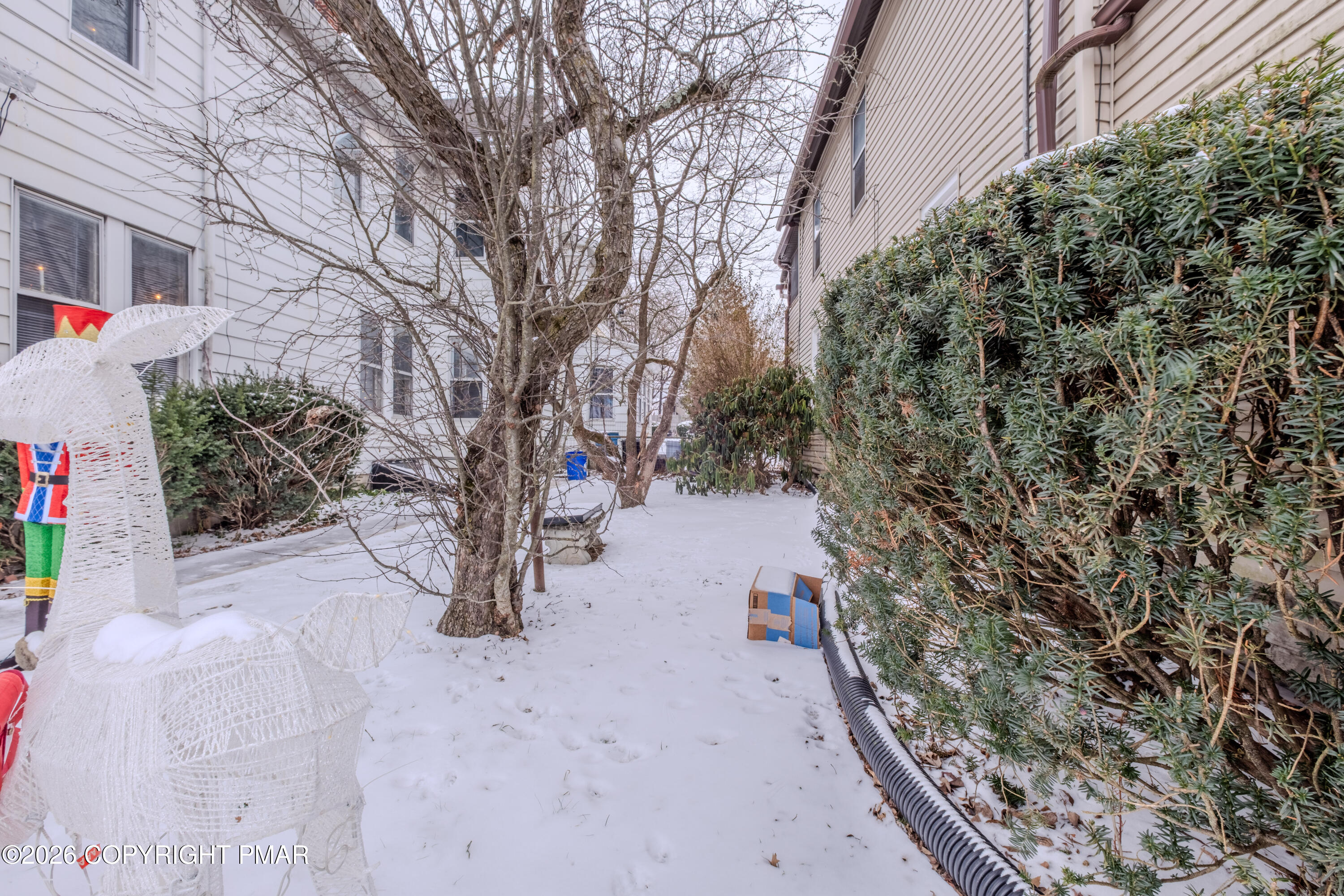 1042 Taylor Avenue Scranton, PA 18510 - Photo 8 of 40 a view of path in between the bunch of trees