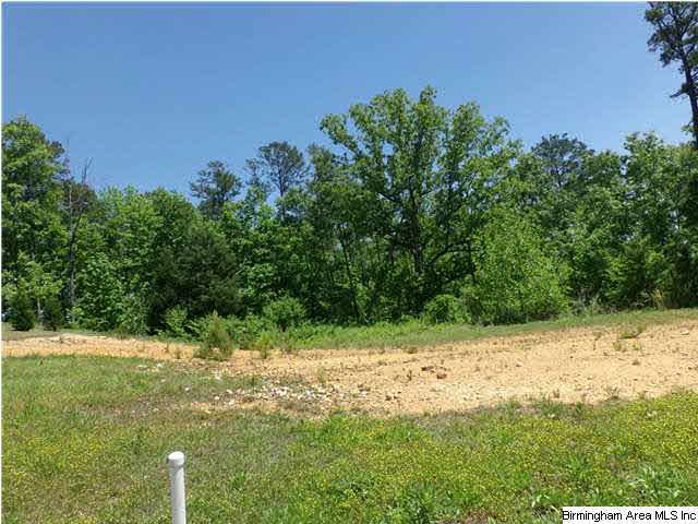 Mountain Lake Trail, Unit 36 Alabaster, AL 35007 - Photo 1 of 1