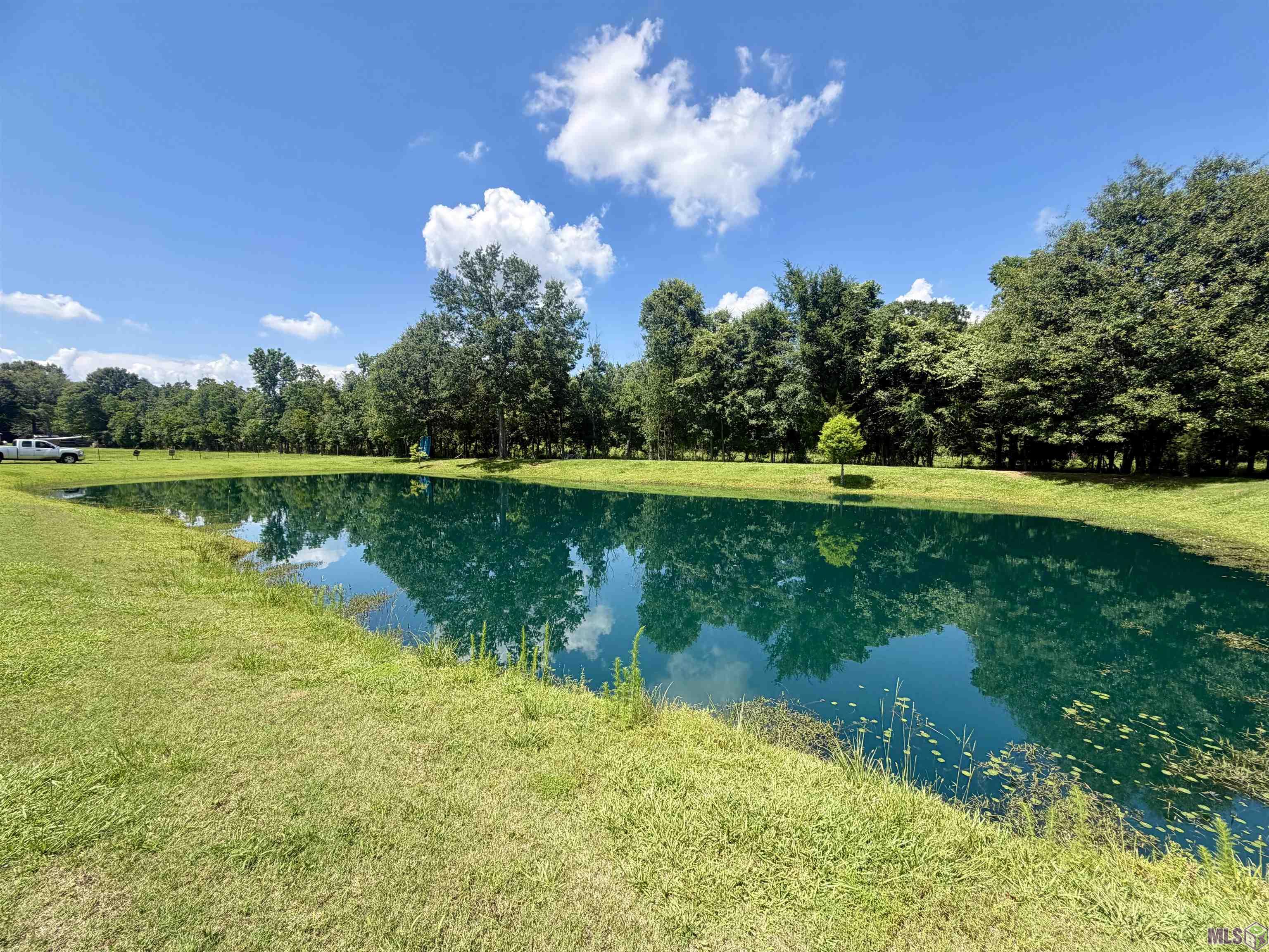 24632 Brian Road Zachary, LA 70791 - Photo 35 of 35