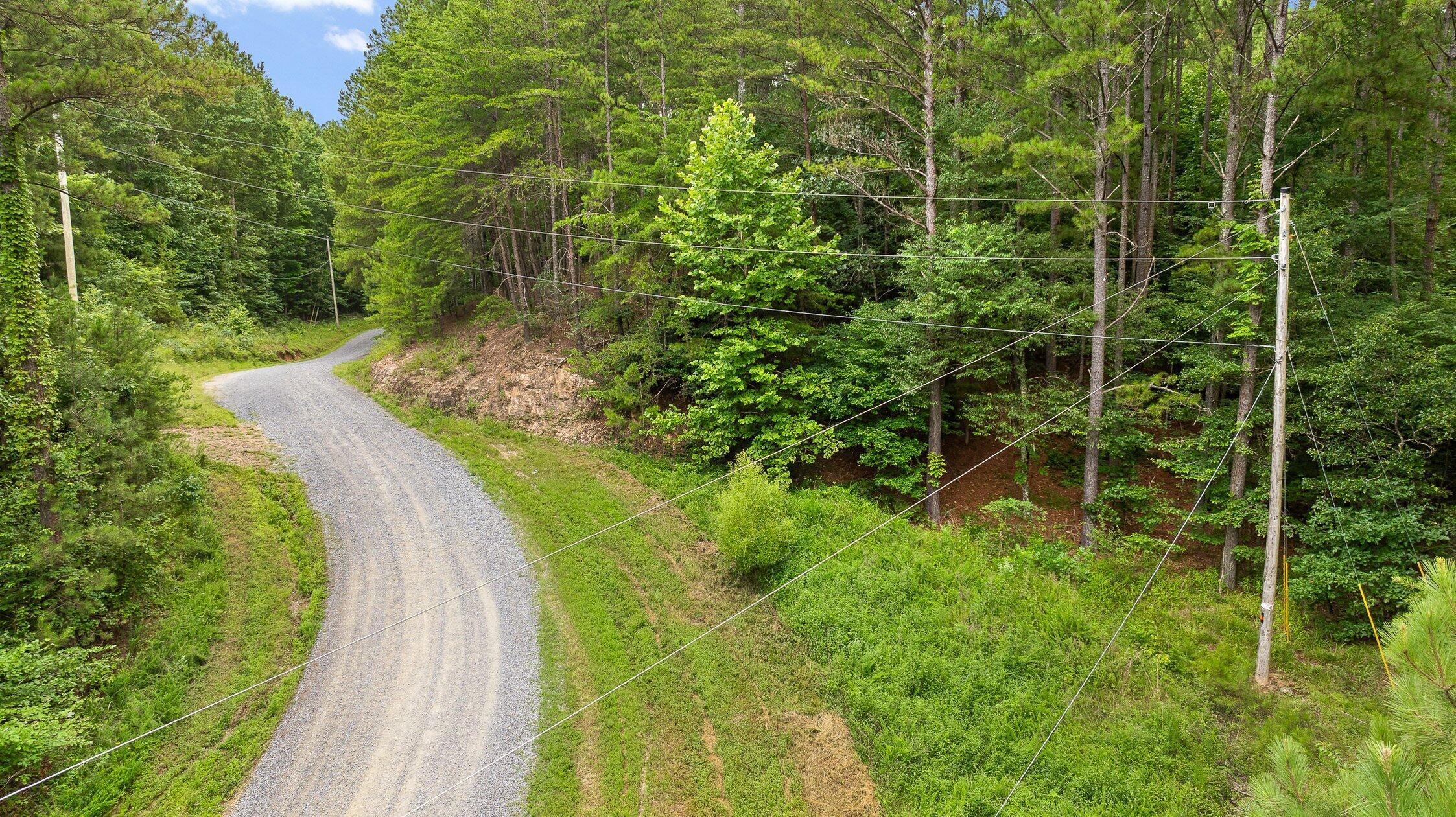 2 Conniston Road Chatsworth, GA 30705 - Photo 3 of 9 Track 3-21