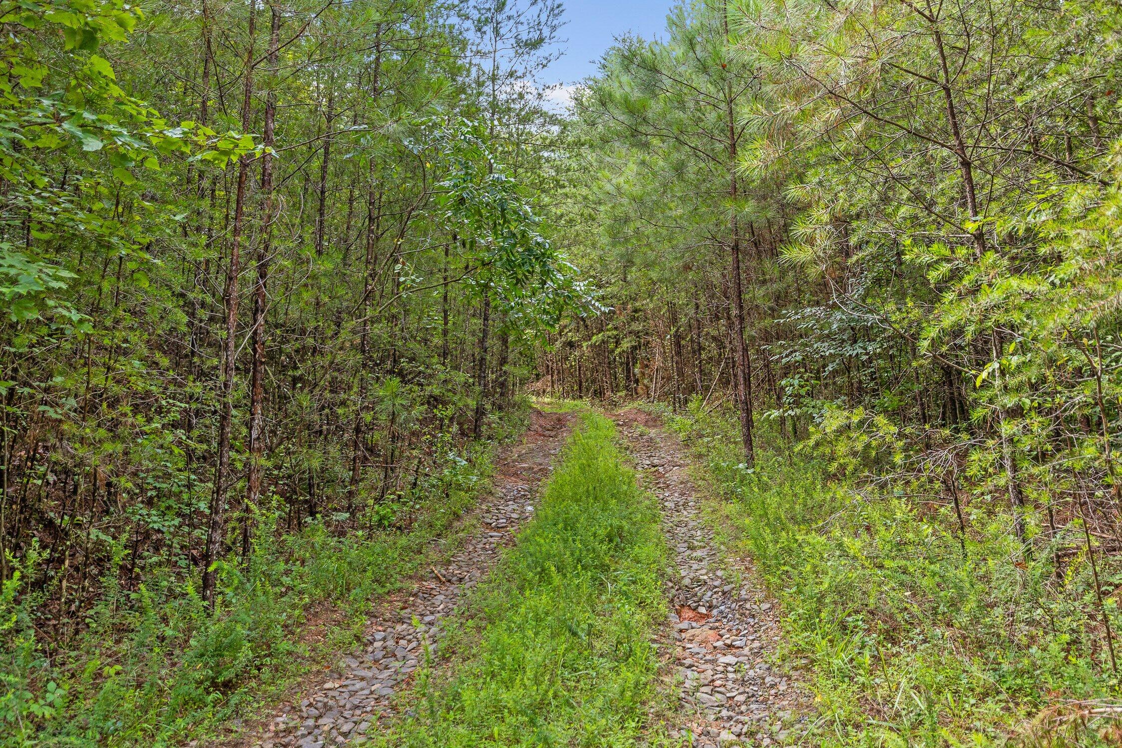 2 Conniston Road Chatsworth, GA 30705 - Photo 4 of 9 Track 4b-3