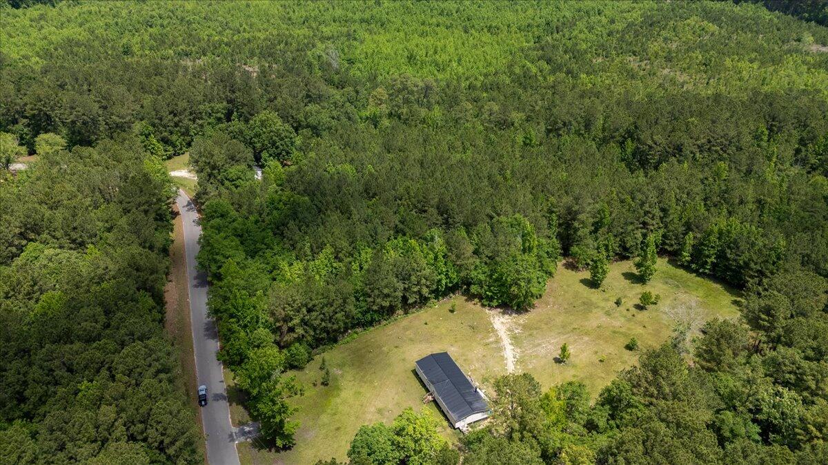 0 Deneaux Road Rowesville, SC 29133 - Photo 42 of 43 42-Deneaux-31
