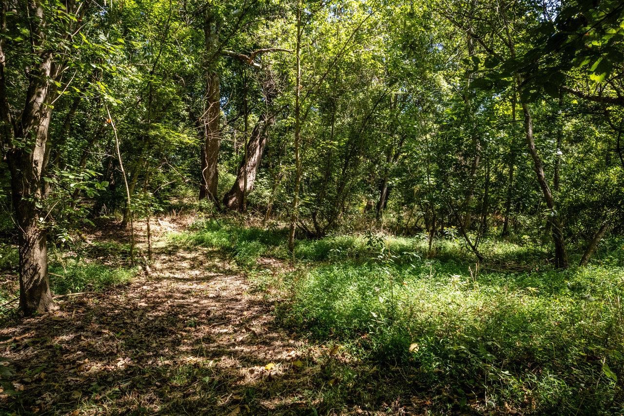 0 Mill Run Road Shenandoah, VA 22849 - Photo 27 of 42 Gallery Image 27