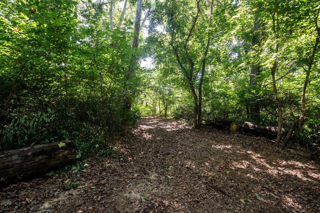 0 Mill Run Road Shenandoah, VA 22849 - Photo 29 of 42 Gallery Image 29