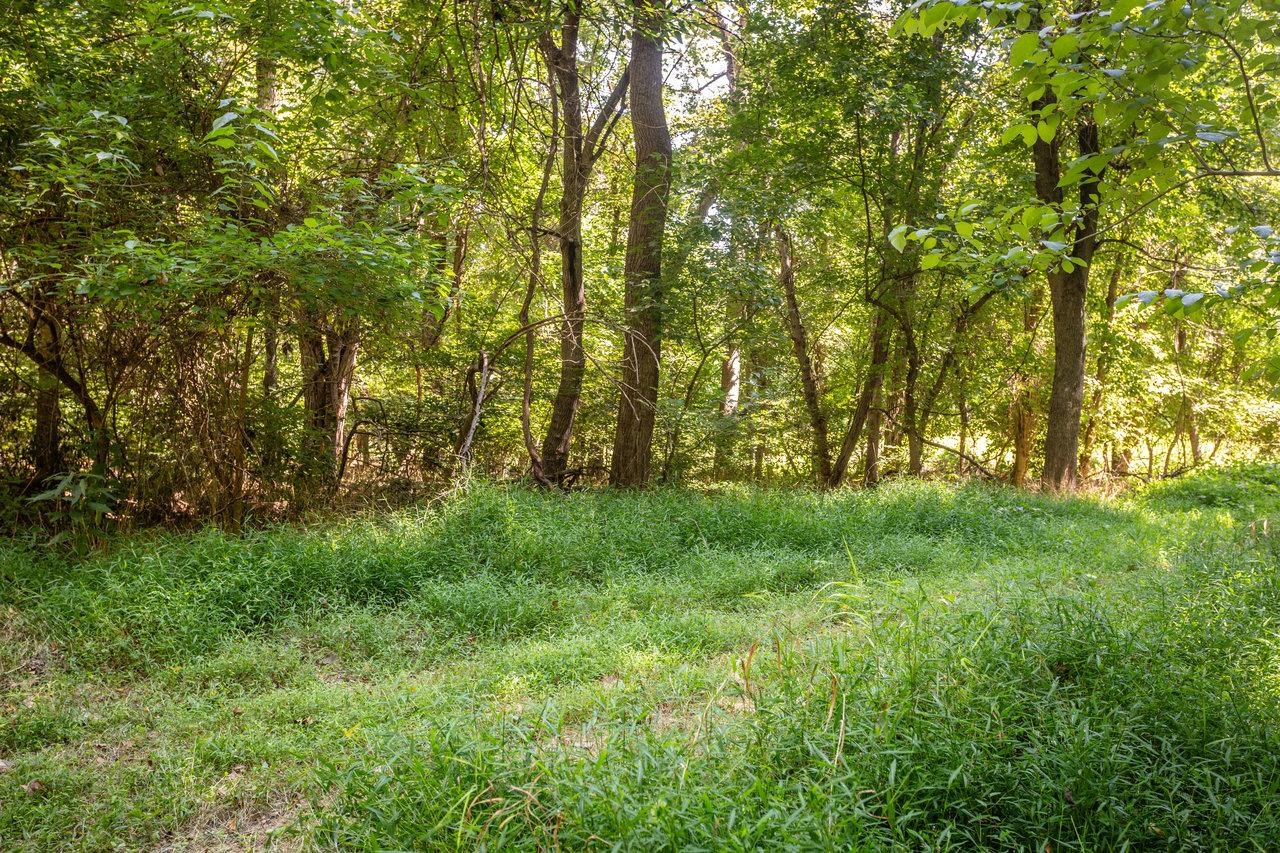 0 Mill Run Road Shenandoah, VA 22849 - Photo 40 of 42 Gallery Image 40