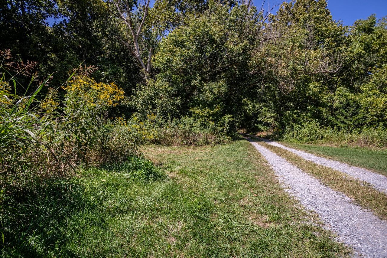 0 Mill Run Road Shenandoah, VA 22849 - Photo 42 of 42 Gallery Image 42