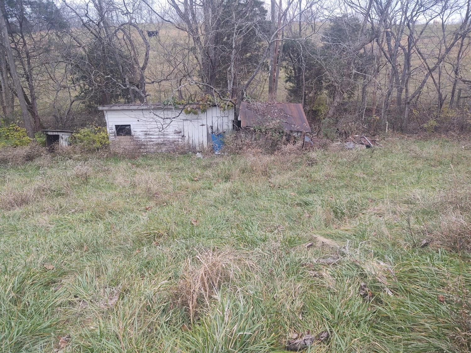13119 Irvine Road Winchester, KY 40391 - Photo 8 of 10 Photo 8