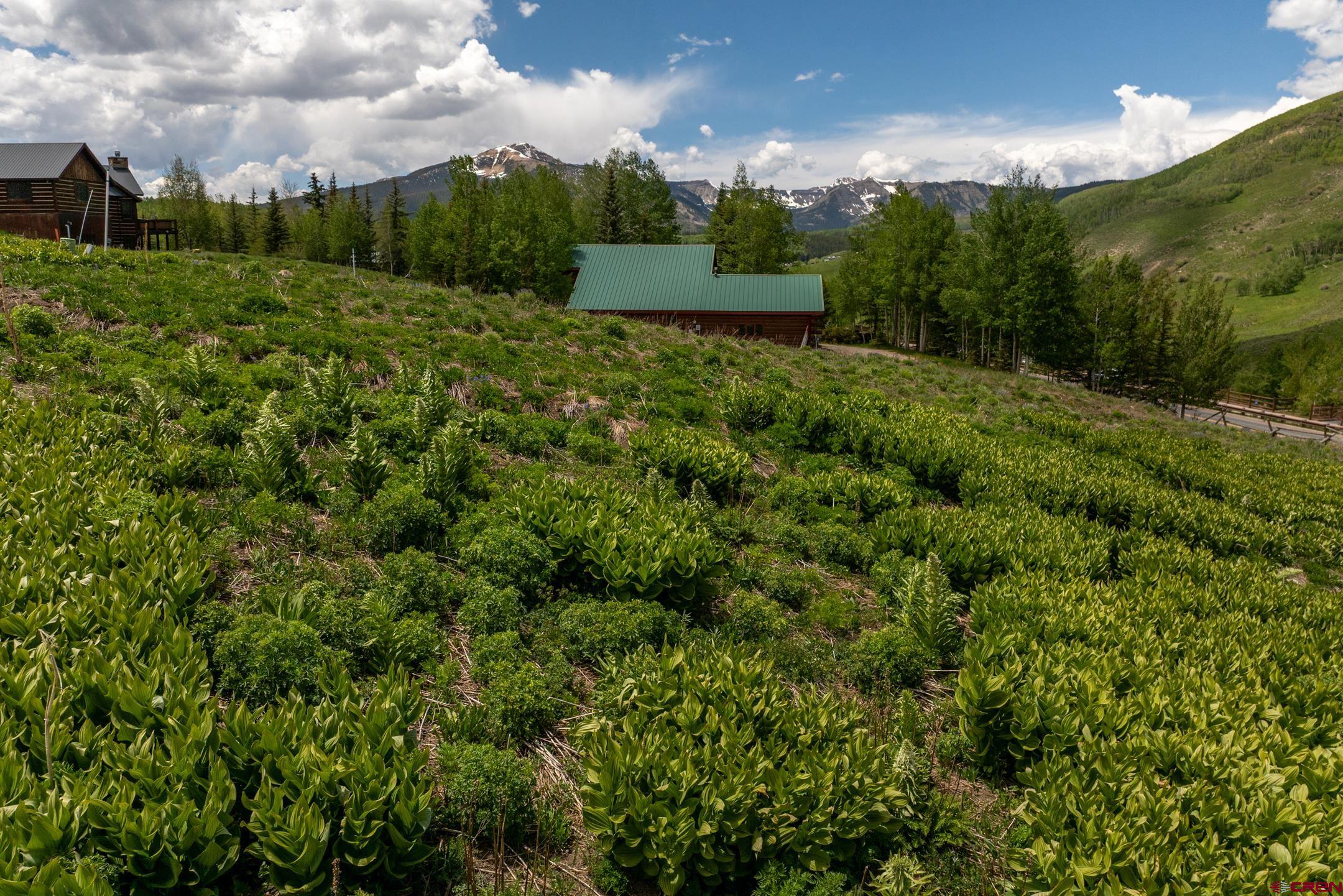 918 Gothic Road Crested Butte, CO 81225 - Photo 6 of 23