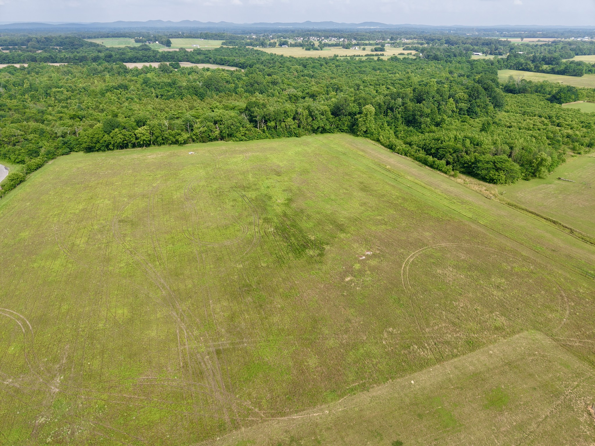 2098 Longview Road Bell Buckle, TN 37020 - Photo 9 of 36