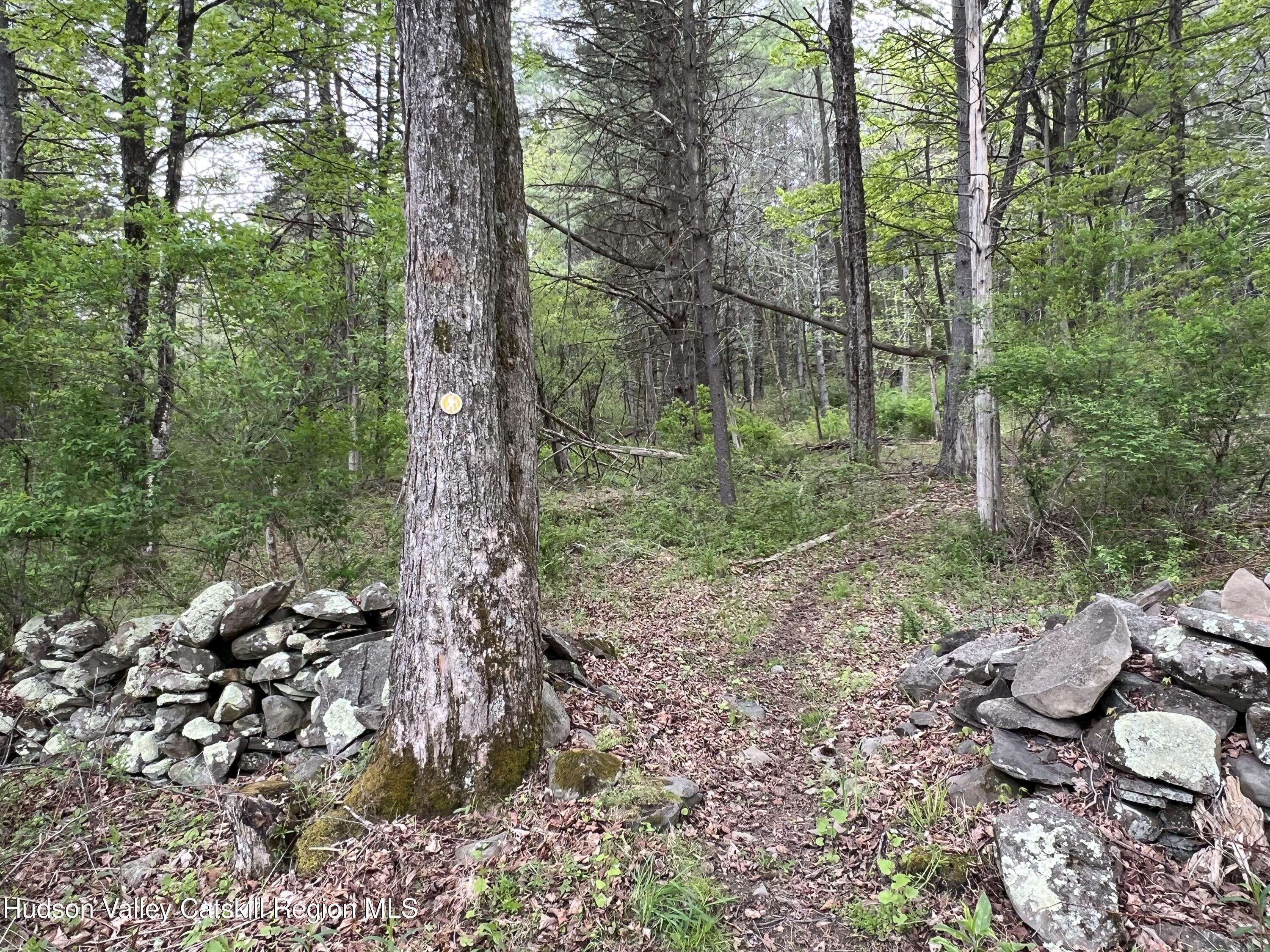 189 Ingalside Road Greenville, NY 12083 - Photo 32 of 42 30_189_Ingalside__UpstateCurious-43ab