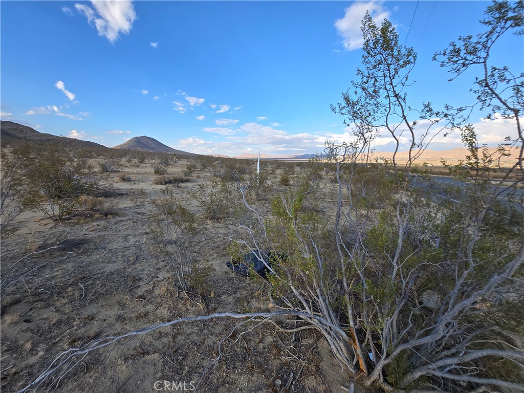 0 Corwin Lucerne Valley, CA 92703 - Photo 1 of 4 a view of a yard with a tree
