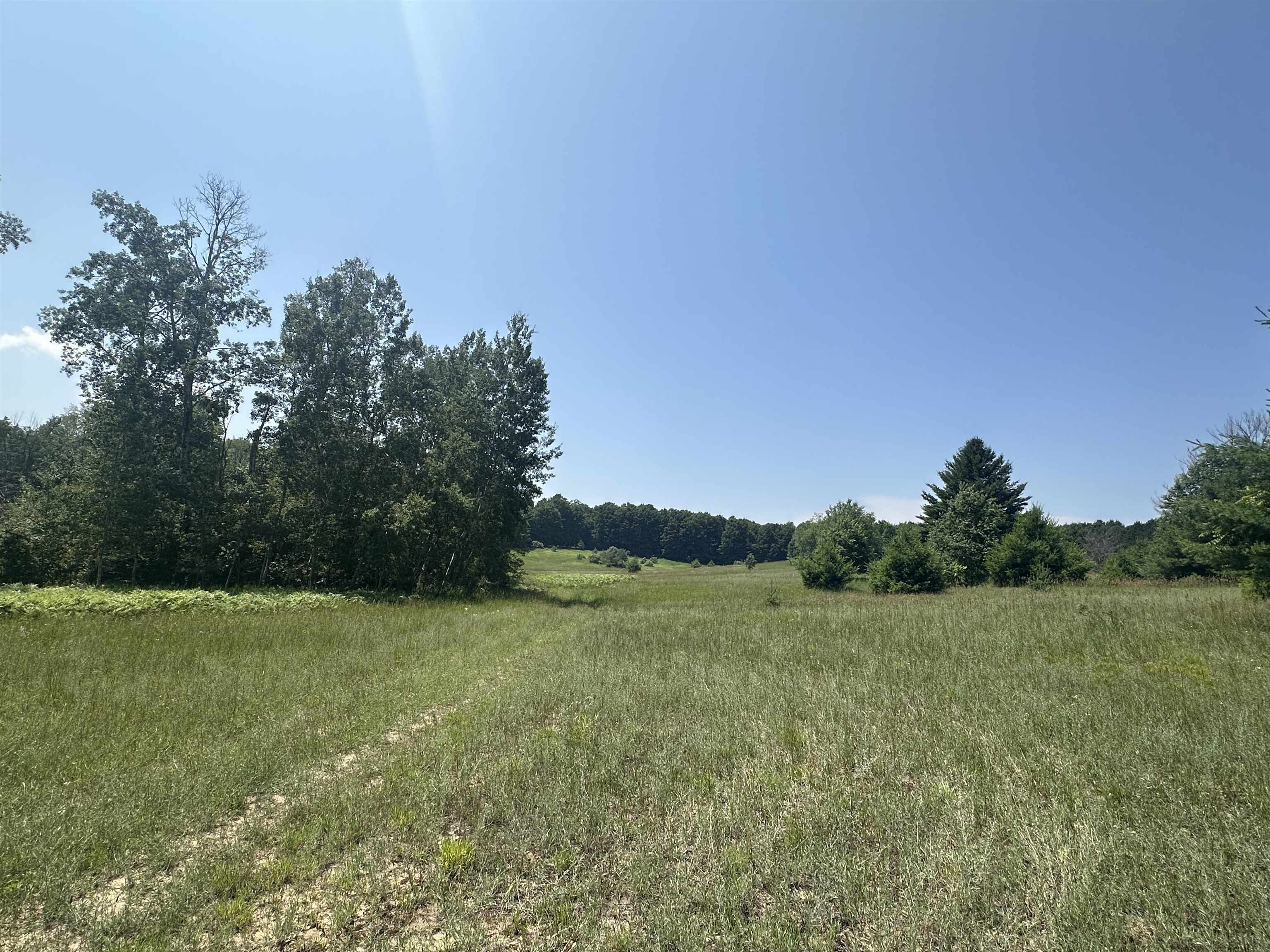 1 Bright Road Maple City, MI 49664 - Photo 6 of 6