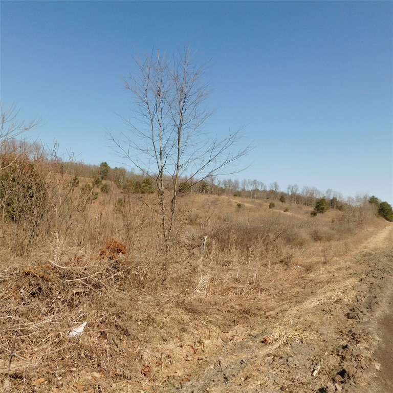 241 Nanticoke Road Maine, NY 13802 - Photo 45 of 45 Gallery Image 45