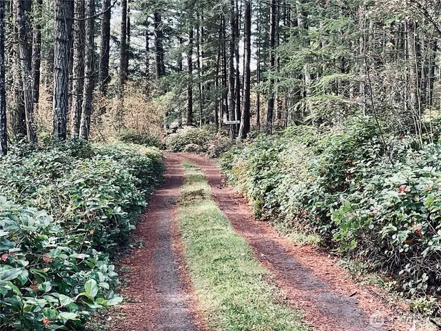 a view of a pathway both side of house