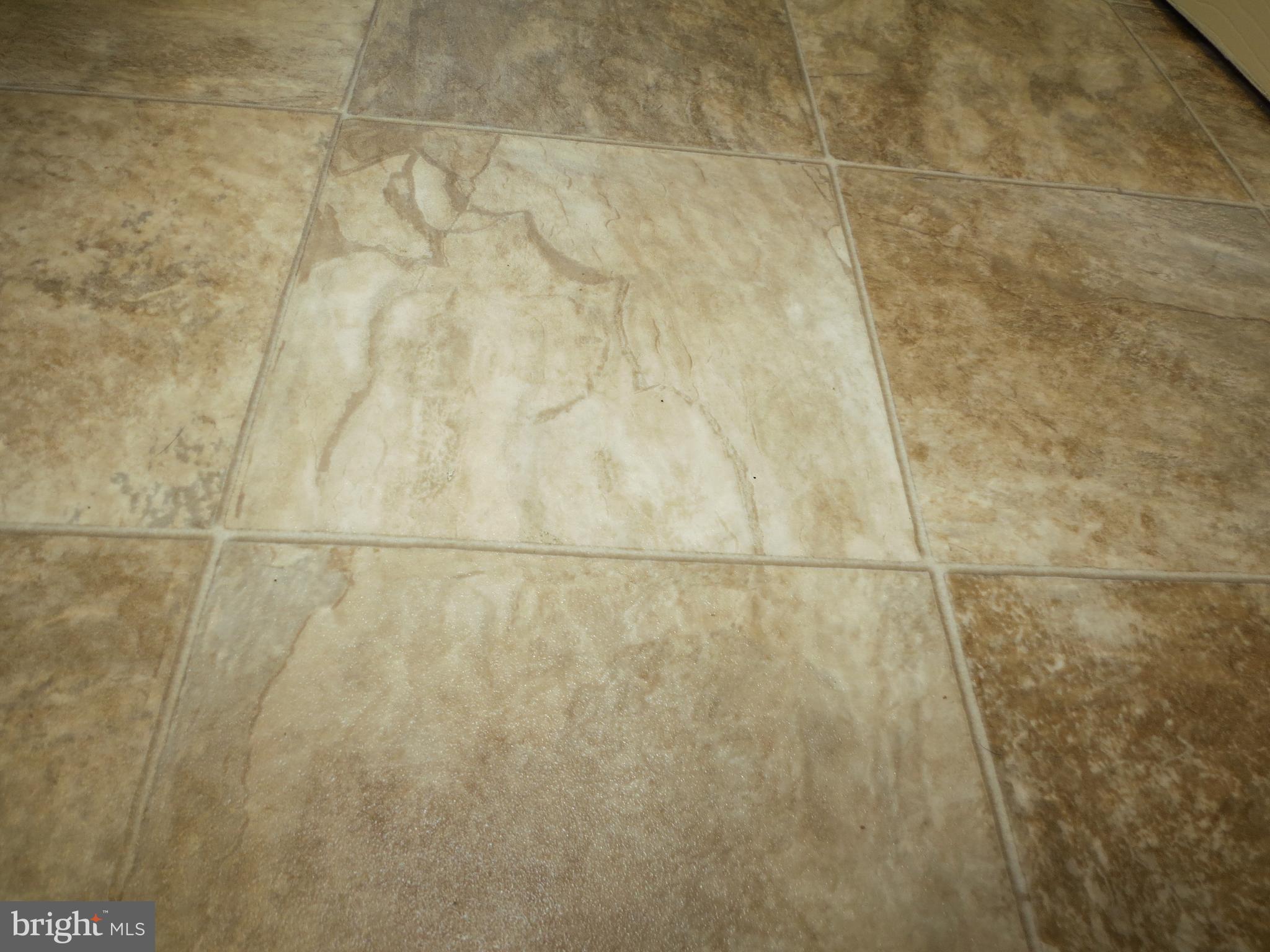 320 Ulricktown Road Littlestown, PA 17340 - Photo 15 of 52 BATH FLOORING