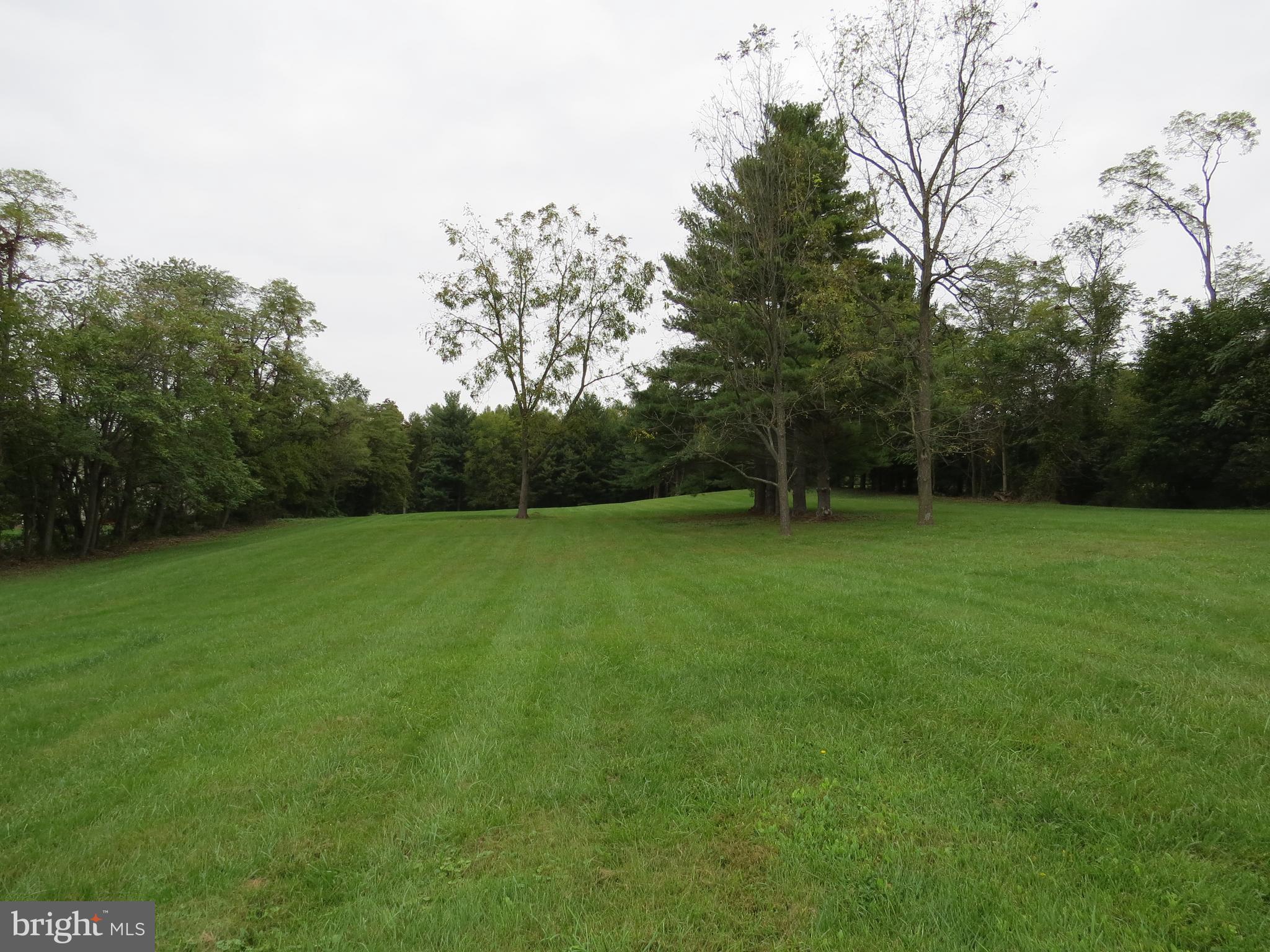 320 Ulricktown Road Littlestown, PA 17340 - Photo 43 of 52 HUGE BACK YARD