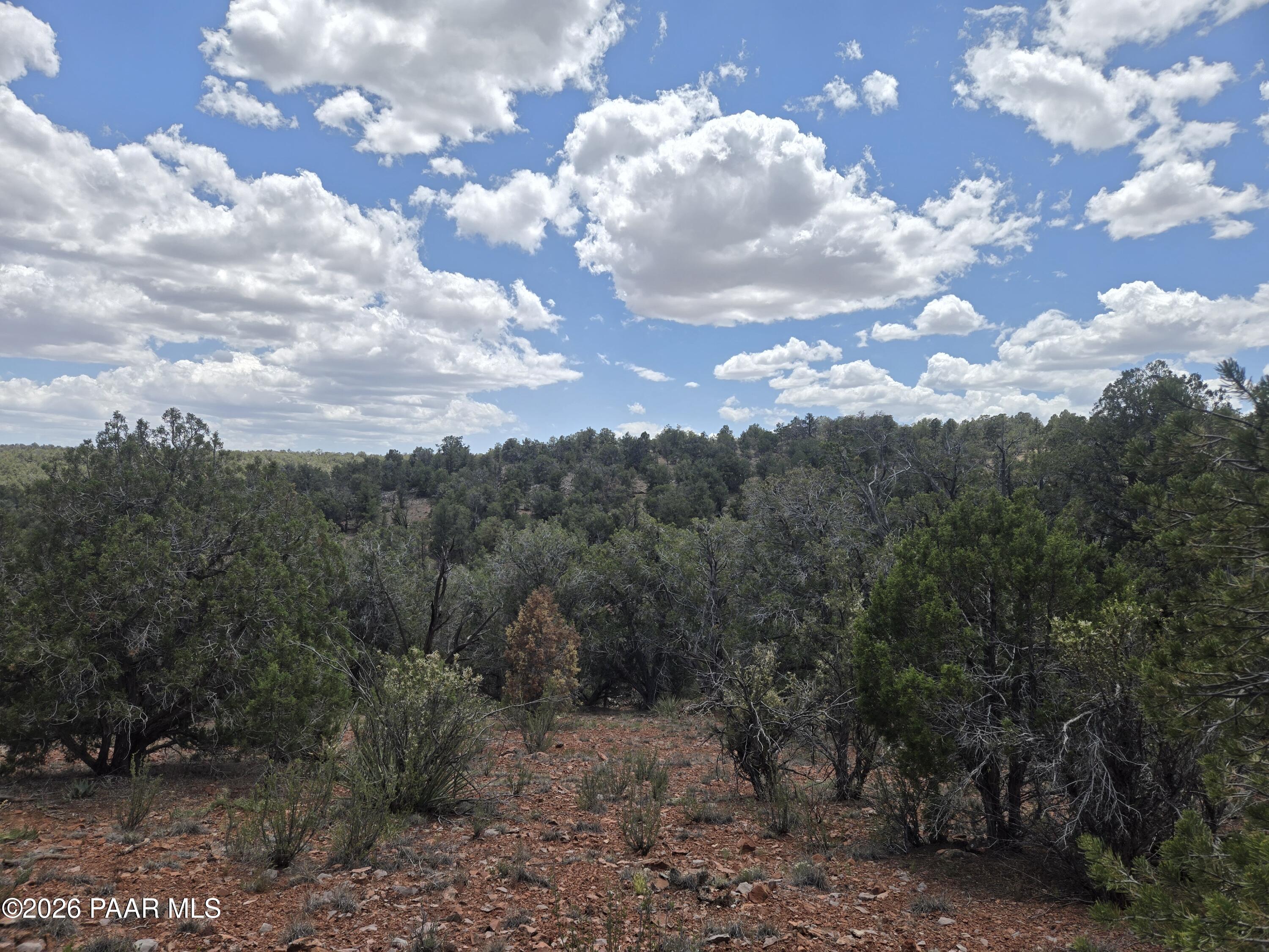 446 Arizona Road Ash Fork, AZ 86320 - Photo 11 of 13 20260524_125649