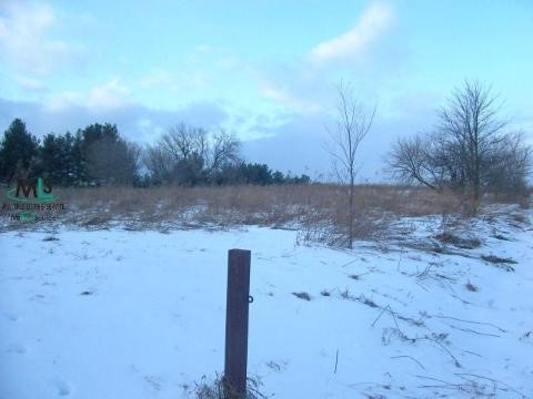 0 V Goodrich, MI 48438 - Photo 4 of 4 876227-3.JPG