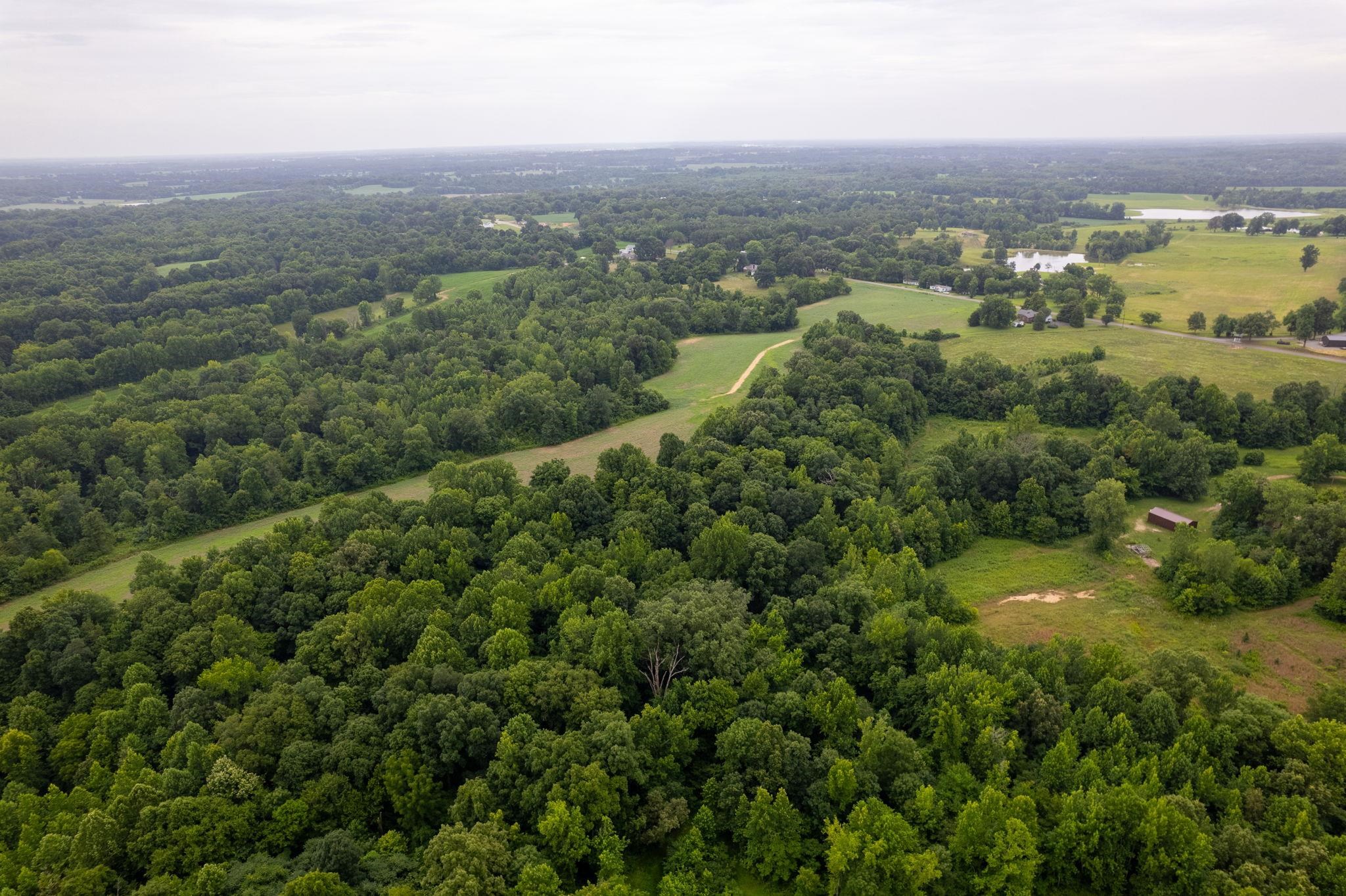 2990 Curve Woodville Road Ripley, TN 38063 - Photo 13 of 18