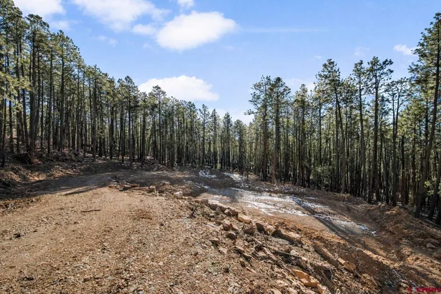 $99,900 | 152 Elk Drive, Bayfield, CO 81122