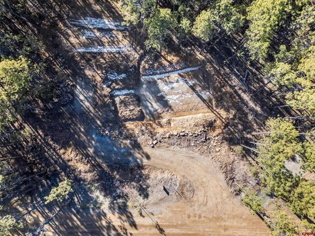 a view of snow on a tree
