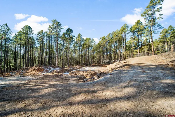 a view of a yard with trees