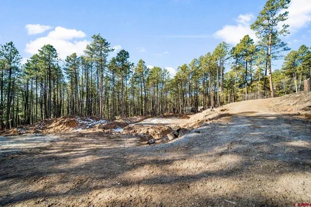 a view of a yard with trees