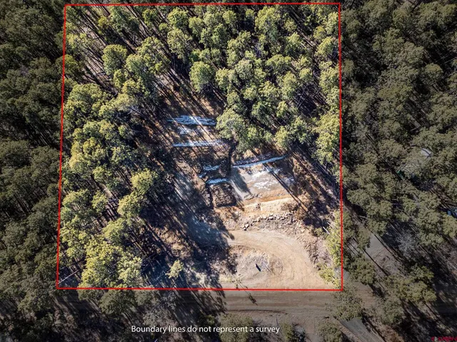 a view of snow on a road