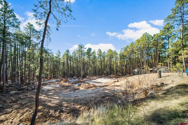a view of outdoor space with trees