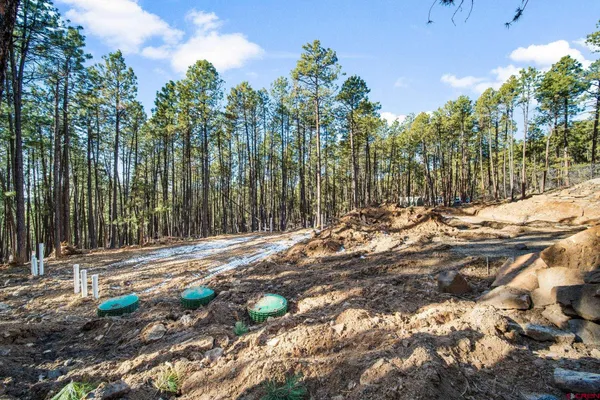 a view of a yard with trees