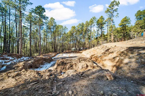 a view of outdoor space with trees
