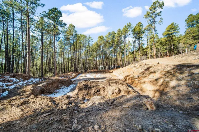 a view of outdoor space with trees