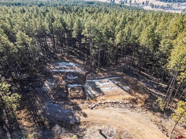 a view of a yard with trees in the background