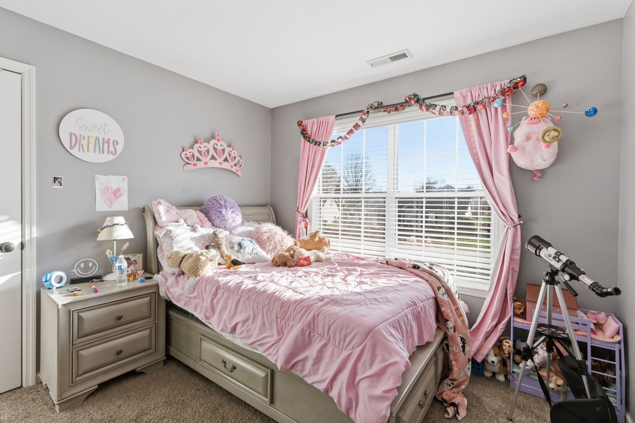 1766 Witt Way Drive Spring Hill, TN 37174 - Photo 19 of 36 a bedroom with a bed and a window