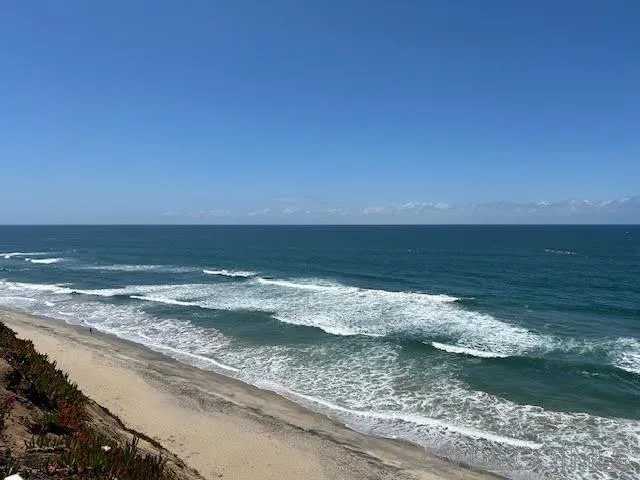 643 4th Street Encinitas, CA 92024 - Photo 6 of 19