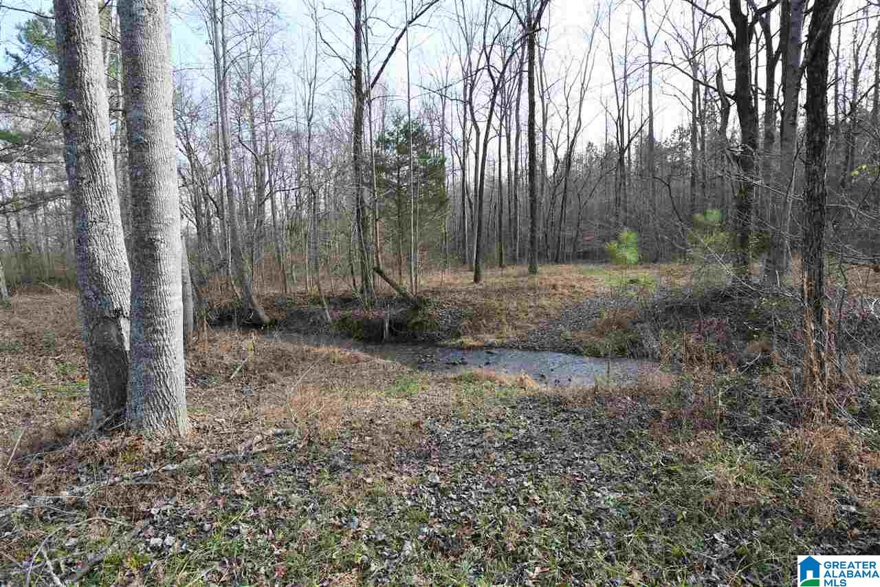 5535 Old Gallant Road Gallant, AL 35972 - Photo 44 of 50