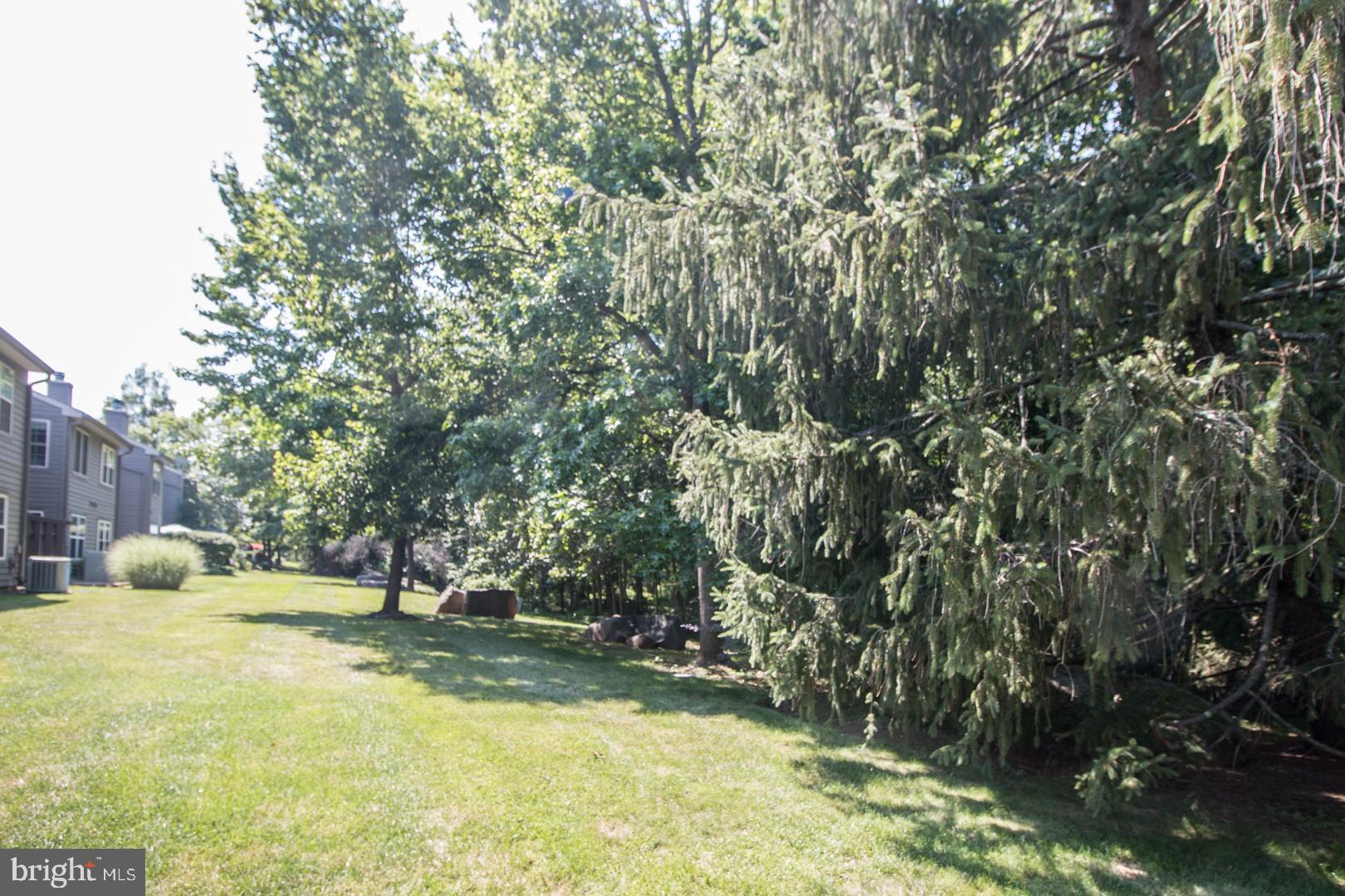 15 B Andover Circle, Unit B Princeton, NJ 08540 - Photo 14 of 14 a view of a tree in front of a house