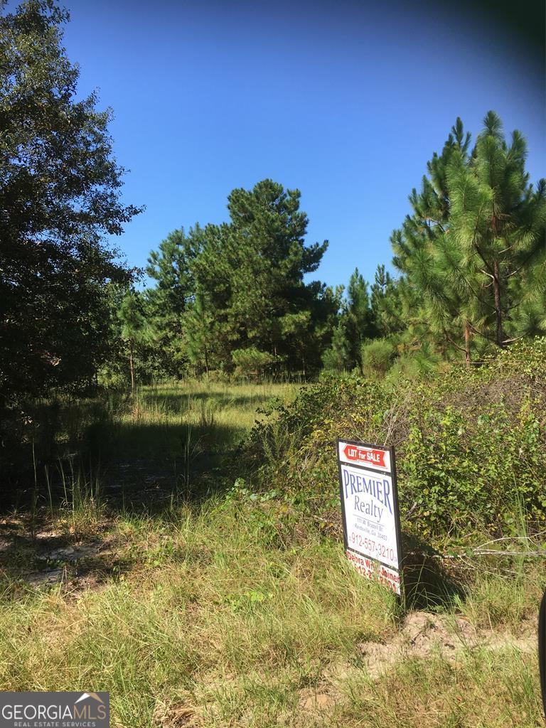 0 Lynntown Collins, GA 30421 - Photo 1 of 1 Main View