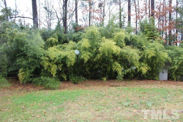 1309 Clermont Road Durham, NC 27713 - Photo 19 of 19