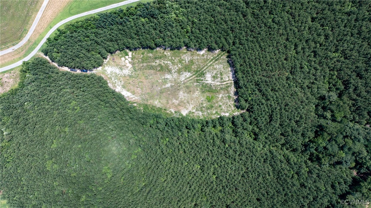 0 Locust Hill Road Aylett, VA 23009 - Photo 2 of 7 a close up of a plant in a garden