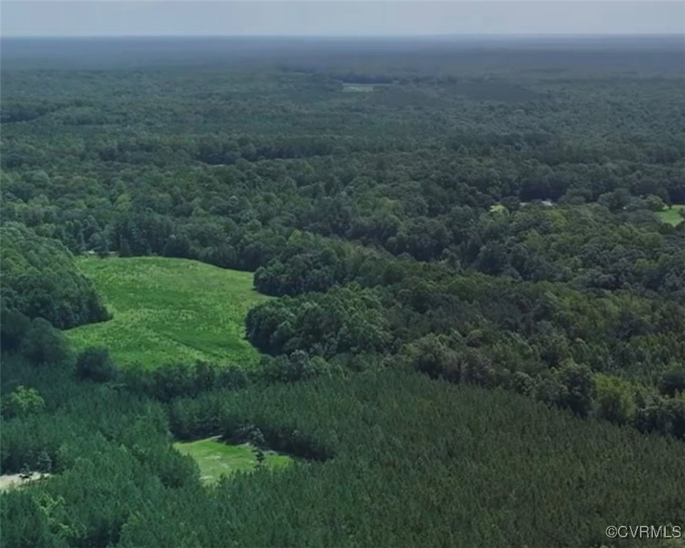 0 Locust Hill Road Aylett, VA 23009 - Photo 6 of 7 a view of a field of grass and trees