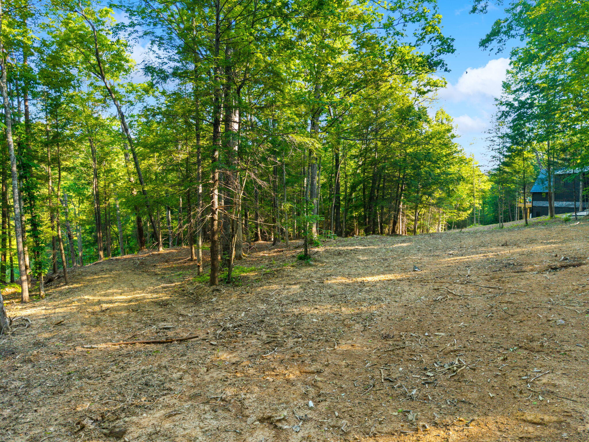 230 Eureka Road Zoe, KY 41397 - Photo 4 of 25 4-web-or-mls-DJI_20260518085812_0006_D