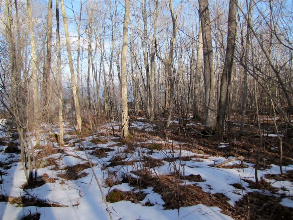 0 Shore Road Northport, ME 04849 - Photo 2 of 4 Photo